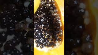 #papita golden #fast food papaya# papaya