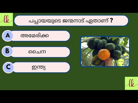  2026   2026     2026 