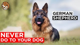 6 Things You Should Never do to German Shepherd