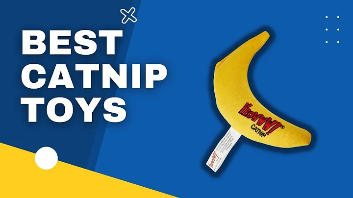 Top 3 best Catnip Toys in 2023