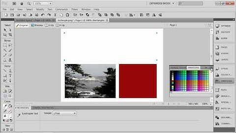 Fireworks CS5. Tutorial. Creating Vector Shapes. (4 of 6).wmv