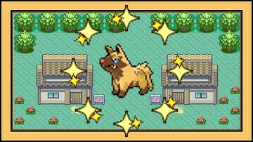 Uncatchable Shiny Poochyena at 474 SRs for a Starter [Sapphire]