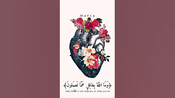 ثم قست قلوبكم من بعد ذلك القارئ مشاري راشد 