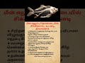 Fish Bone Stuck in Your Throat? Try These Safe Tips! 🐟⚠️ | First Aid #shorts #youtubeshorts