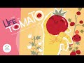 Children's Books Read Aloud | The Life Of Tomato A Fun Story About Life Cycle