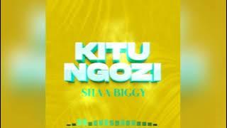 SHA BIGGY-KITU NGOZI(official audio)