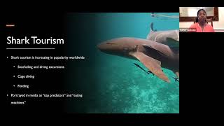 Slaven Lecture: &quot;To Feed or Not to Feed&quot; Sharks and Tourism