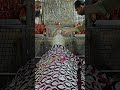 Mira Datar Dargah sharif ❤️new qawwali status video #whattsappstatus #shorts #reels #sounds