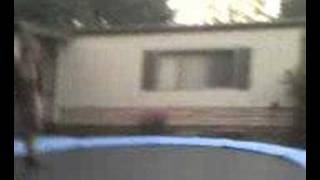 Back flip bail