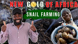 UNBELIEVABLE: Snail Farming In Africa Making $100,000?! | @TrisolaceFarms  Tour