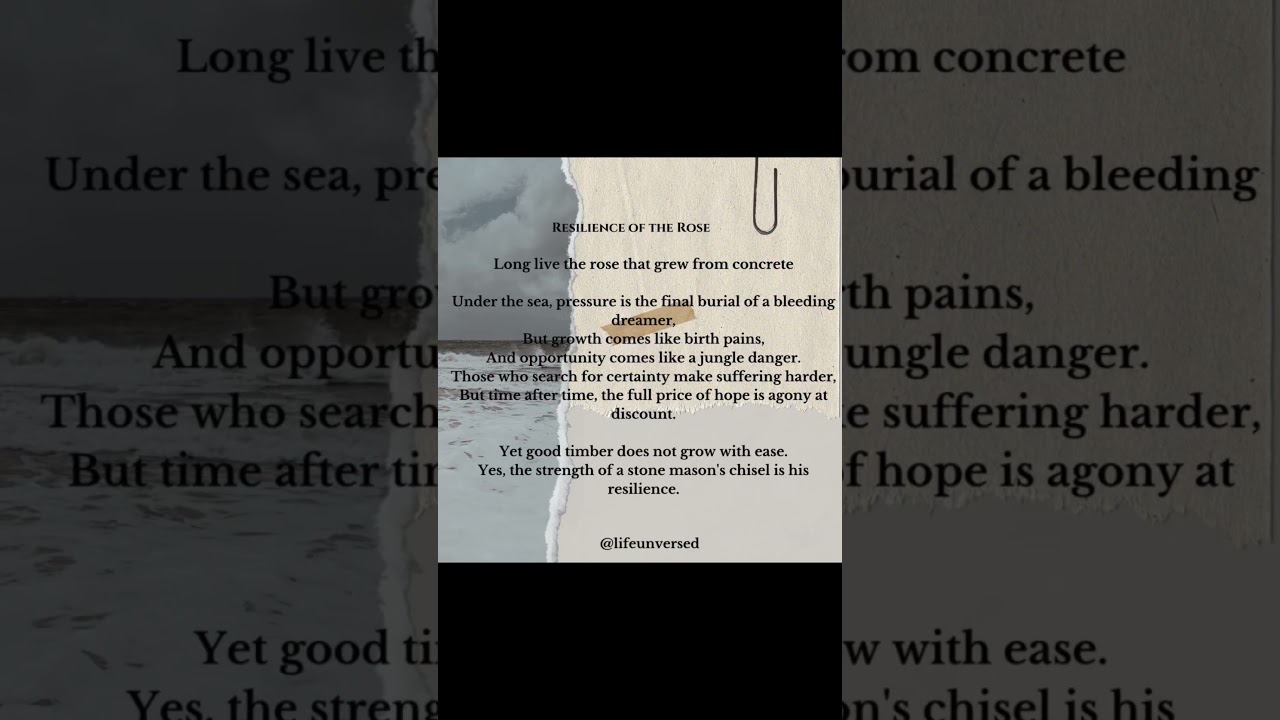 Resilience of the rose 