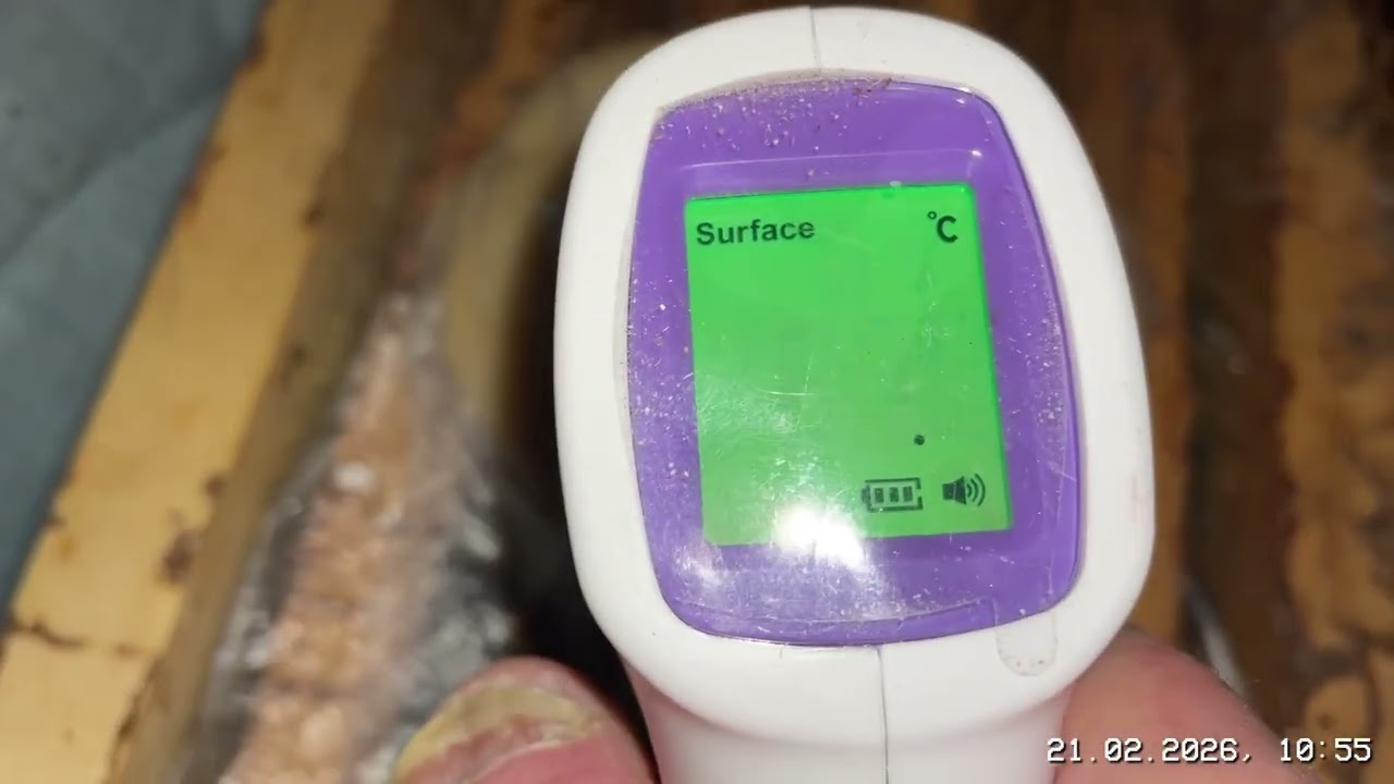 Прошла очередная морозная неделя