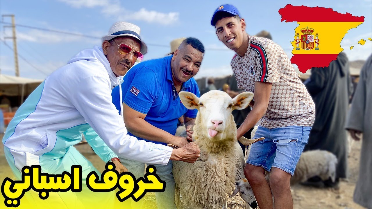 نيبا مشى لسوق او شرى خروف بمليون