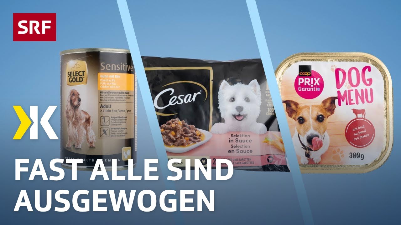 Hundefutter im Test  Die gnstigsten sind zum Fressen gut | 2022 |  Kassensturz | SRF
