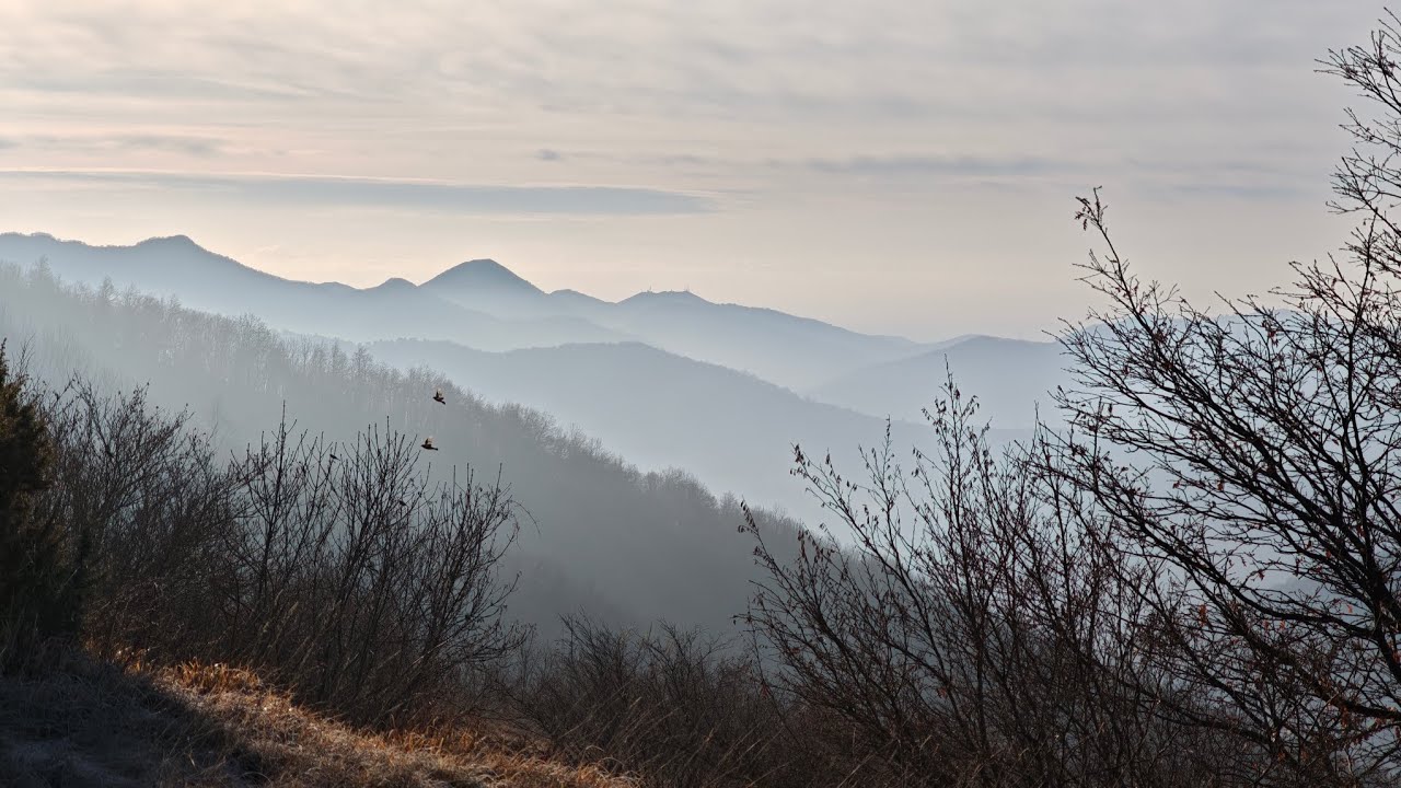 MTB Casella,panch.crocef.,m.te Proventino,panch. Valbrev.,m.teBuio,m.teAntola,Crosi,Casella.03.01.26
