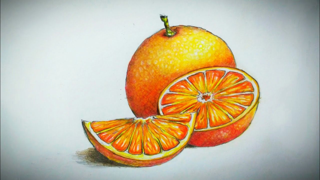 Drawing of Oranges