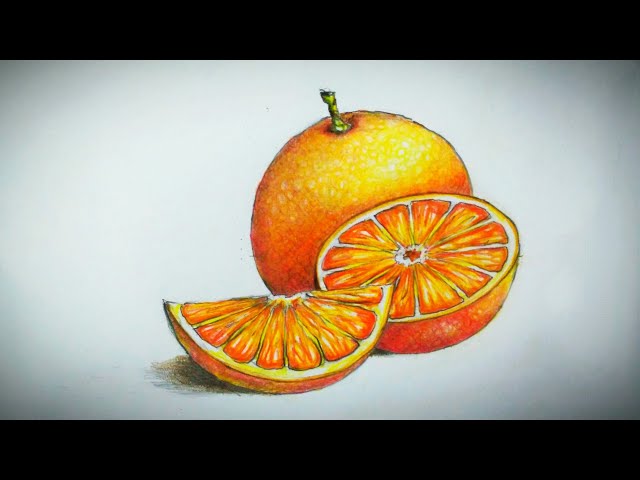 How to draw orange  pencil coloring tutorial  Freehand drawing  YouTube