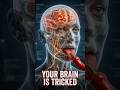 What Happens Inside Your Body When You Eat Spicy Food? #shorts #spicy
