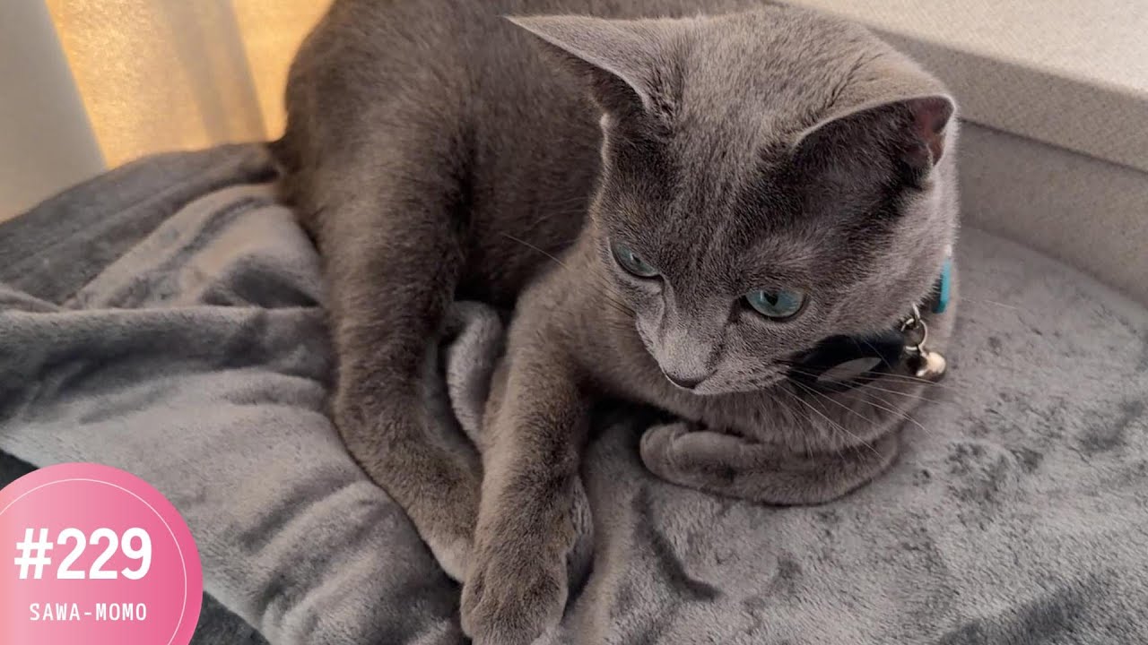 新しいくつろぎ場所