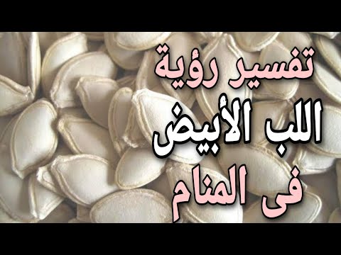 تفسير رؤية اللب الأبيض فى المنام معنى اللب فى الحلم