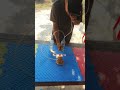 How to make free Gas at home. #life huck at home