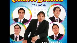 Video thumbnail of "Te Amare Aunque Estes Con Él -  Carlitos Zacarias"