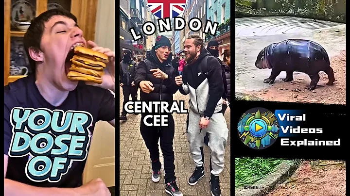 Your Weekly Dose of Viral Videos Explained #2