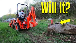 Can We Log This HUGE Tree With a 16” Saw and a 23hp Tractor?