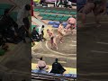 若佐々木！2026年大相撲5月場所