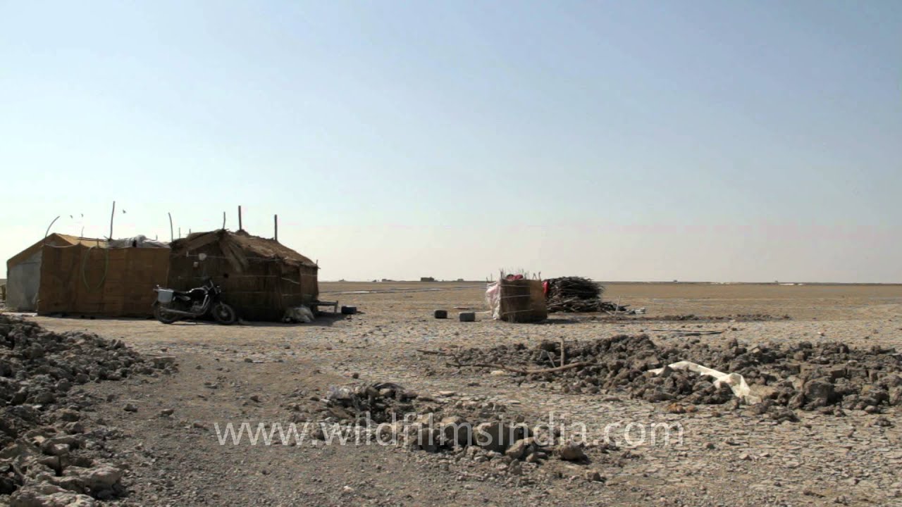 A salt worker's hut, Gujarat