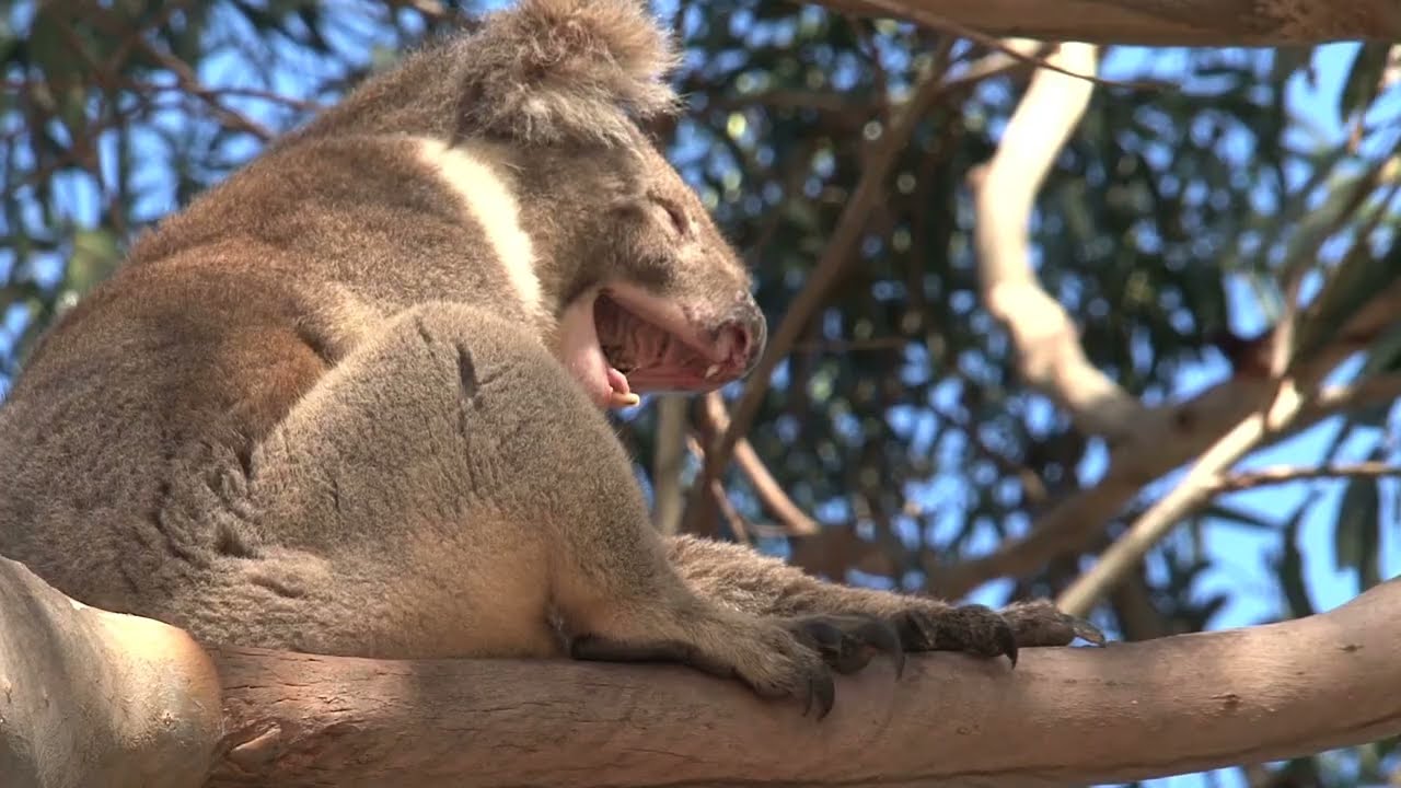 Keep IT Local - Micron21 Cloud Services