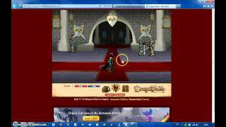 DragonFable how to SAVE your Items