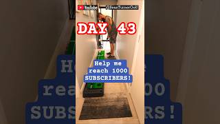 Day 43: 100 DAY CHALLENGE! HELP ME REACH 1000 SUBSCRIBERS! #roadto1000 #golf #golfchallenge