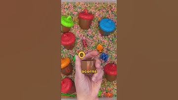 The Best Materials For Your Sensory Bin