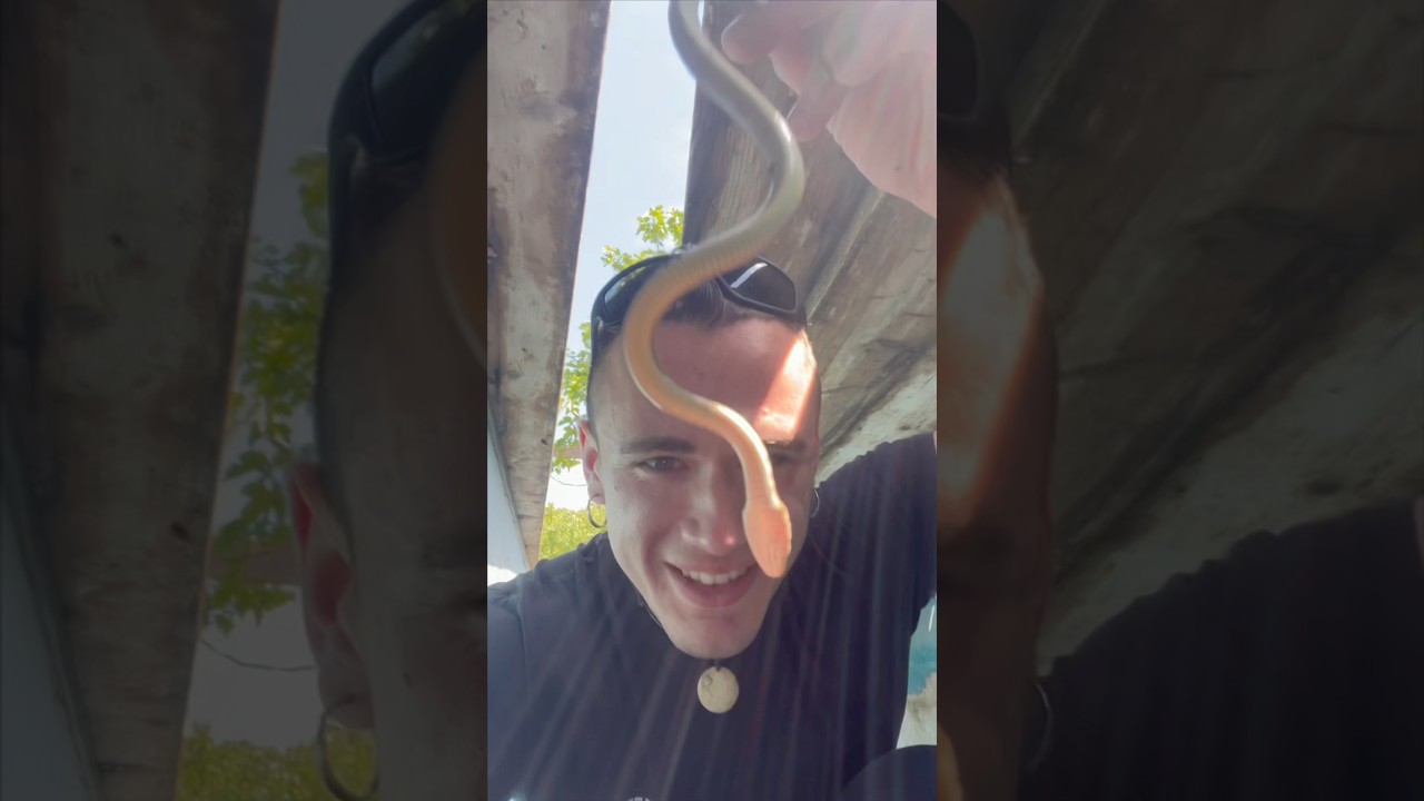 giovanni fai attenzione diamine 😪 