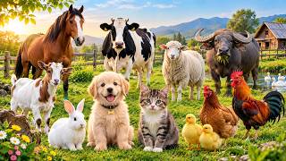 🌿 Discover Lovely Farm Friends: Sheep, Cow, Duck, Dog, Pig, Horse, Cat & Goat – Calm Country Sounds screenshot 1