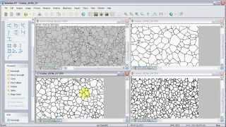 MicroVisual - Grain Sizing (Comparison Chart) with iSolution DT