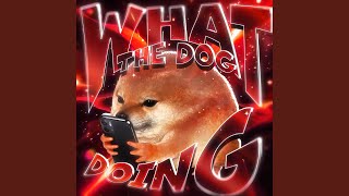WHAT THE DOG DOING x PIPI LABU HARDSTYLE (Ultra Slowed)
