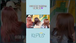 우리 막내가 졸업한다고?! 짱플러 출동💜 #Shorts