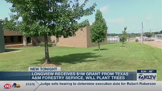 City of Longview receives grant for tree-planting beautification project