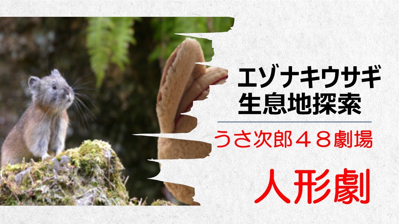 エゾナキウサギの北海道の旅 蝦夷うさぎを探して ぬいぐるみ人形劇 Youtube