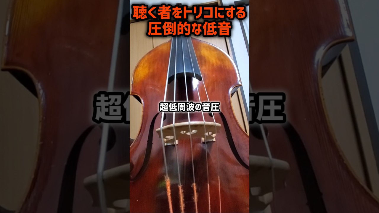 聴く者をトリコにする圧倒的な低音 #コントラバス