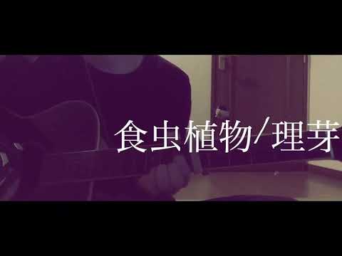 【弾き語り】食虫植物/理芽   cover