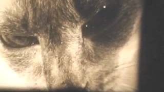 Black And White Commercials 16Mm New-Set Ten Of Eleven