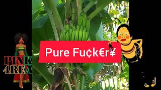 Really Queen Wasp This Is De Boom Yuh Drop