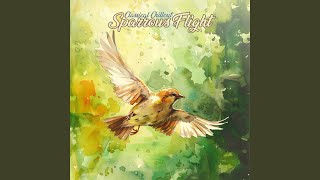 Sparrows Flight News