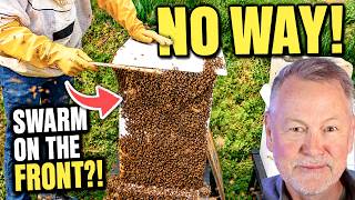 Beekeeping: What To Do When A Swarm Lands On Your Hive