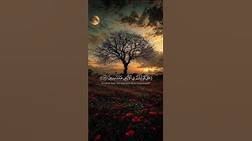 اكتب شيء تؤجر عليه ❤️🎧 #القارئ إسلام صبحي