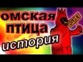 Омская птица. Кто она и как прилетела в Омск.