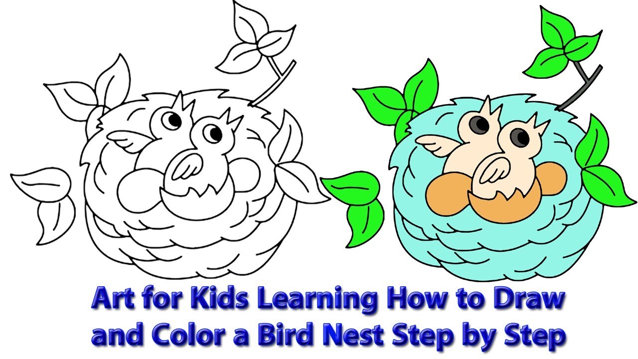 Art For Kids Learning How To Draw And Color A Bird Nest Step By Step art-for-kids-learning-how-to-draw-and-color-a-bird-nest-step-by-step